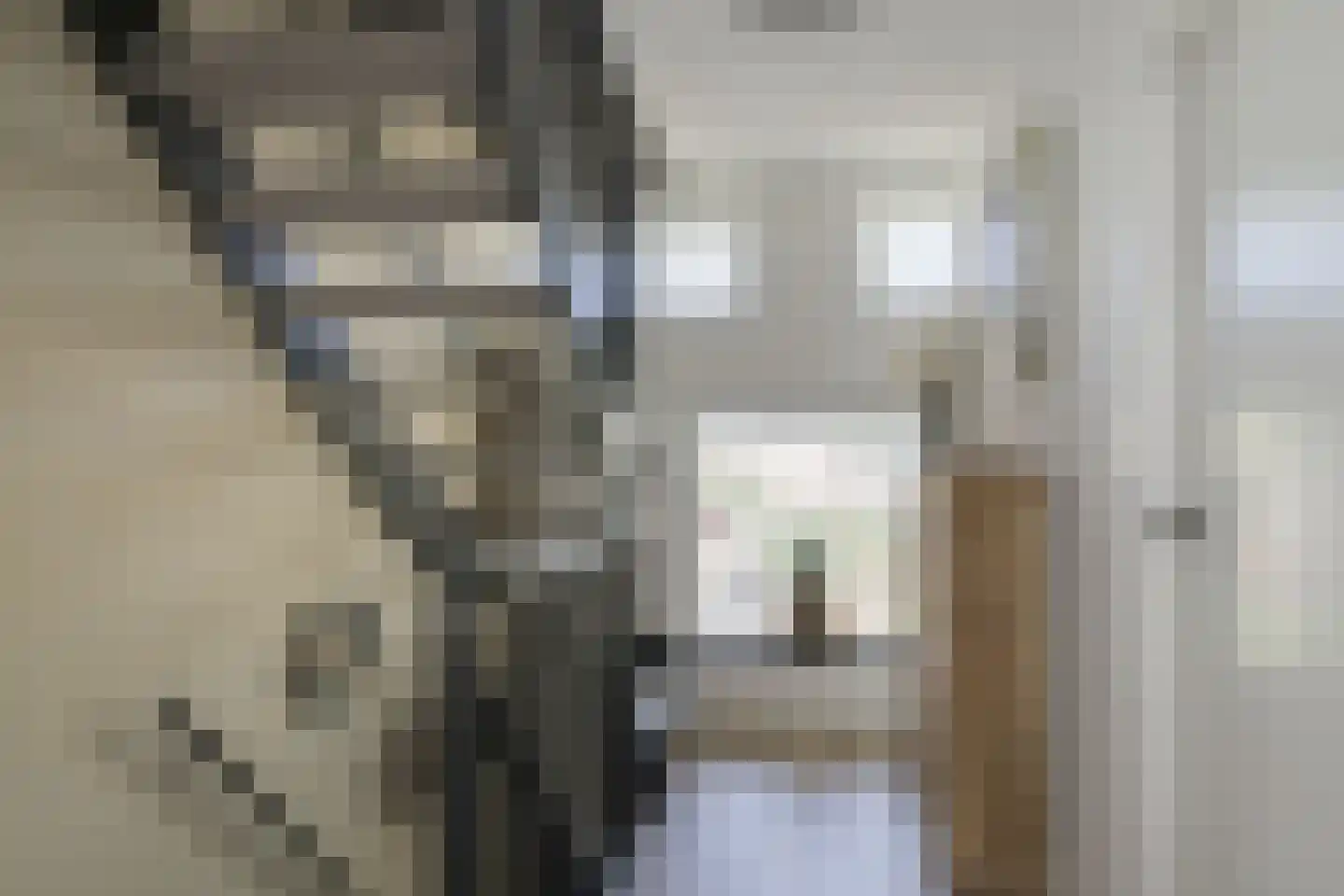 Juttepad 4 Zelhem thumbnail 32