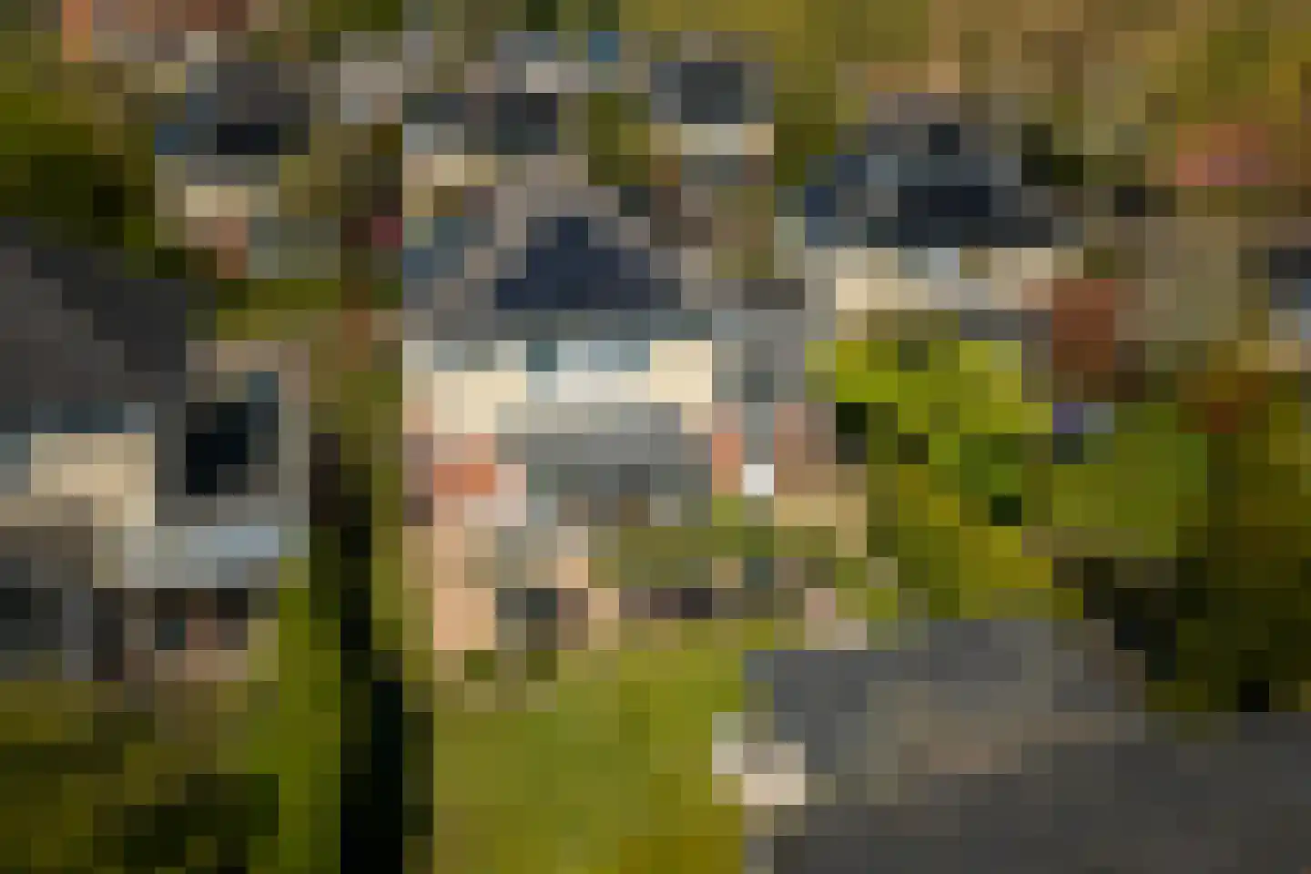 Juttepad 4 Zelhem thumbnail 38