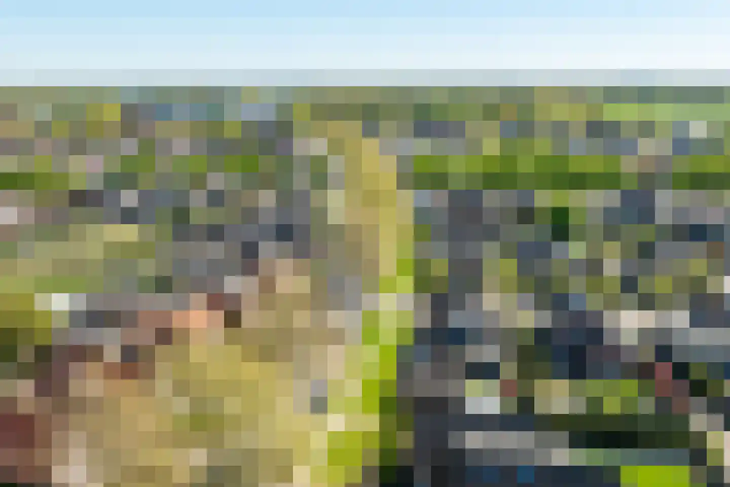 Juttepad 4 Zelhem thumbnail 48