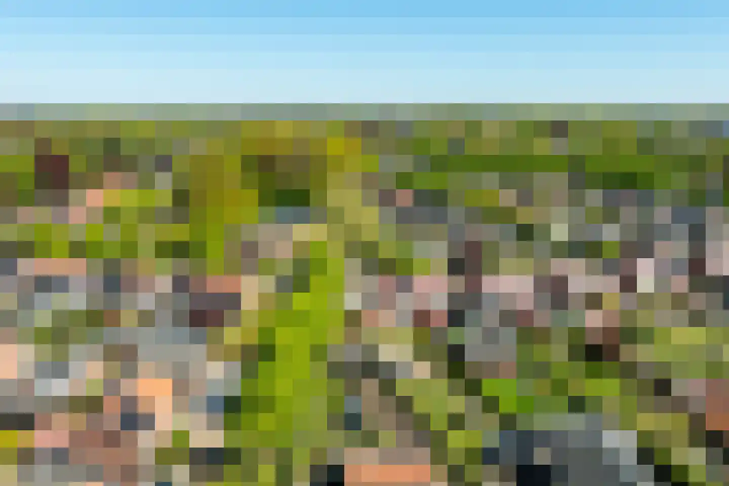 Juttepad 4 Zelhem thumbnail 49