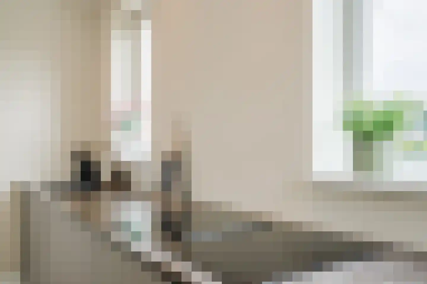 Juttepeer 1 Winkel thumbnail 21