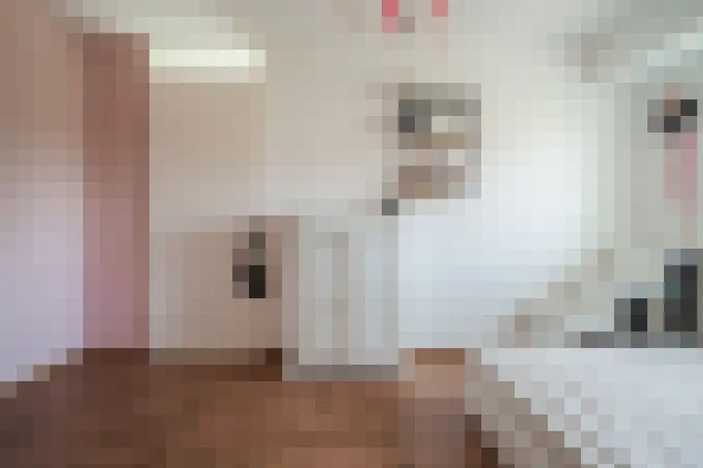 Juttepeer 1 Winkel thumbnail 29