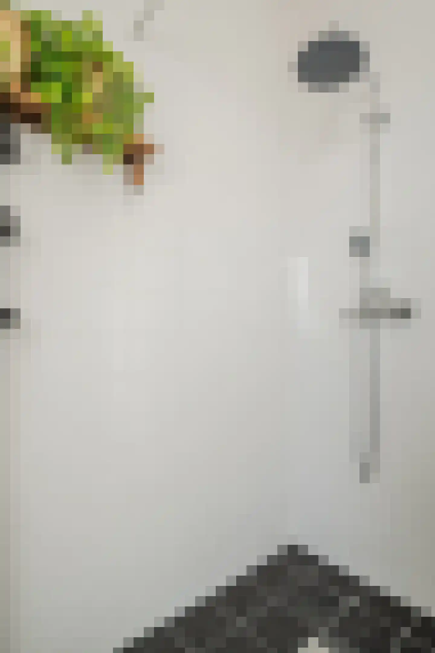 Juttepeer 1 Winkel thumbnail 34