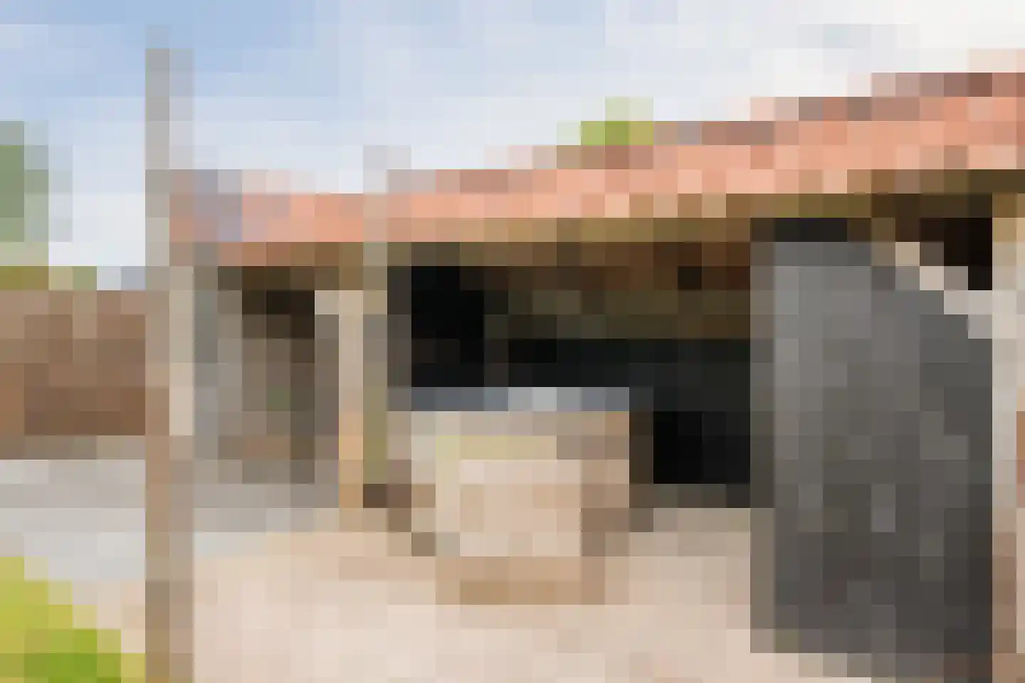 Juttepeer 1 Winkel thumbnail 43