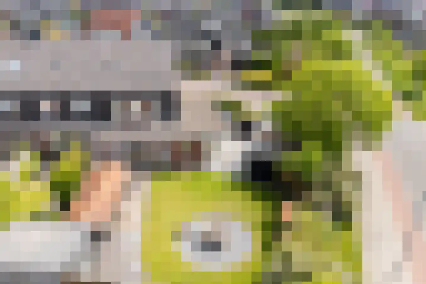 Juttepeer 1 Winkel thumbnail 51
