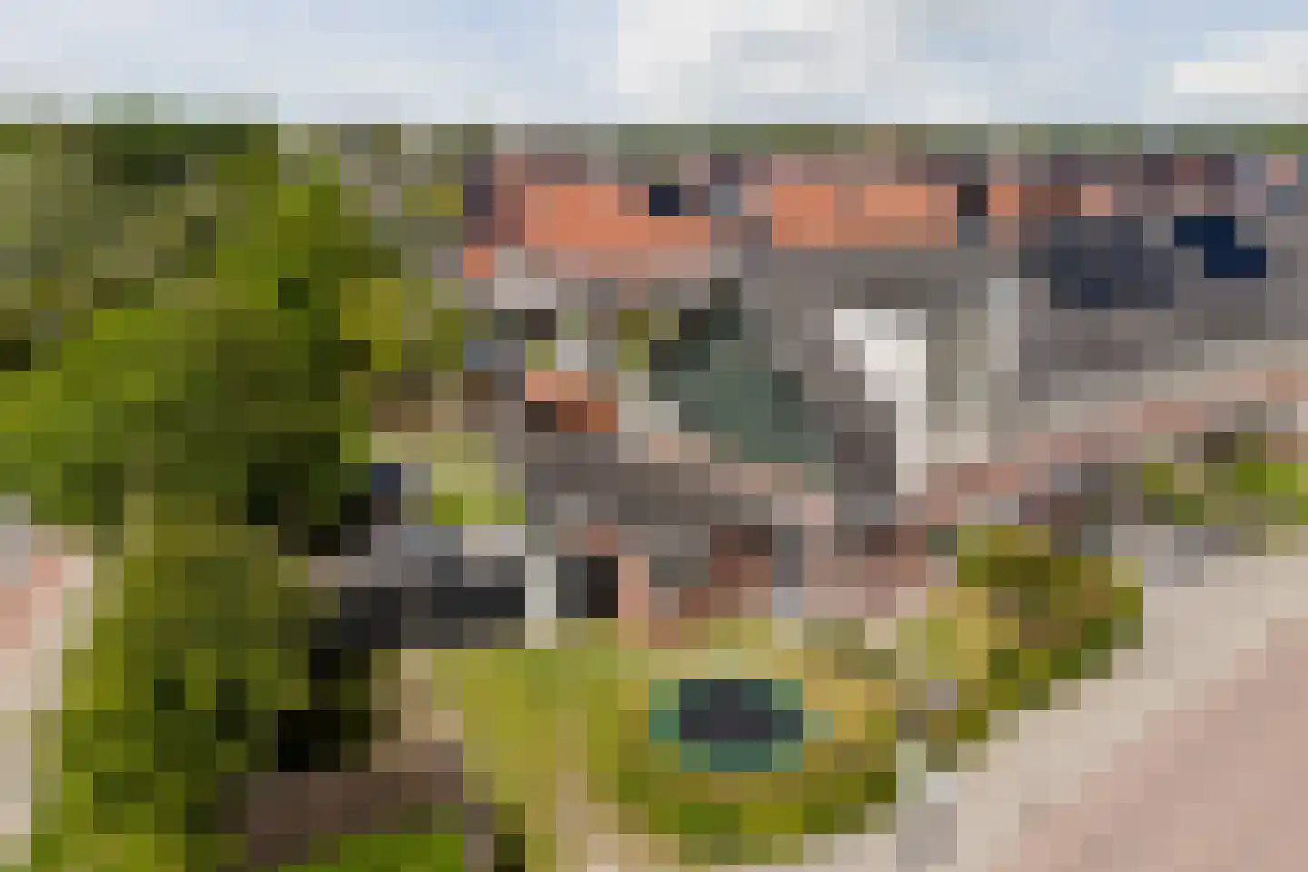 Juttepeer 1 Winkel thumbnail 55