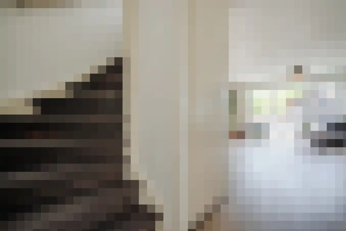 Juttepeer 1 Winkel thumbnail 9