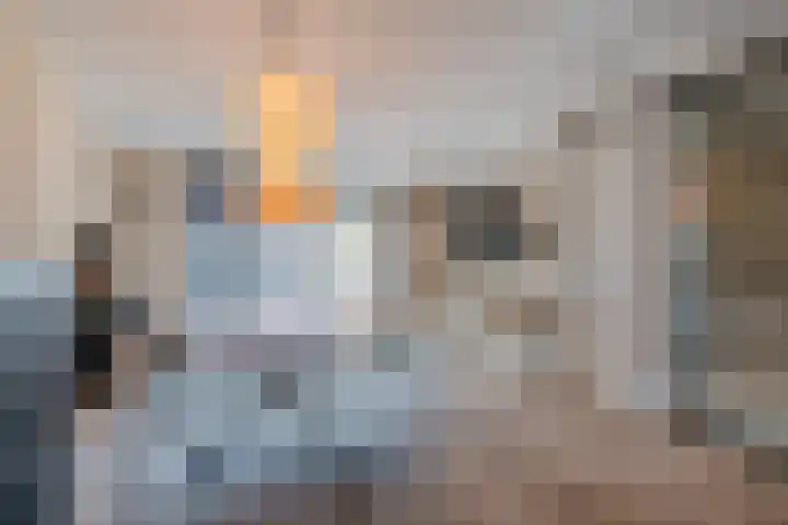 Juttepeer 11 Winkel thumbnail 10