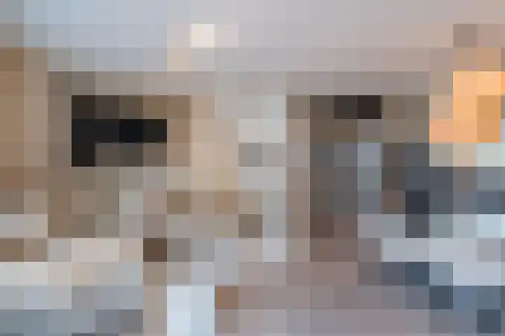 Juttepeer 11 Winkel thumbnail 12