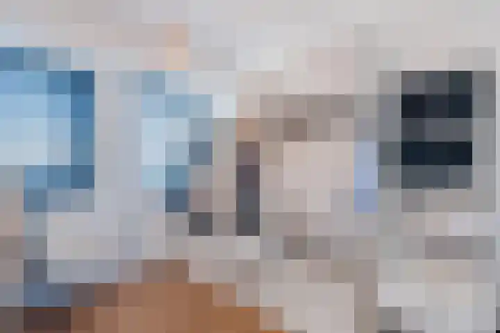 Juttepeer 11 Winkel thumbnail 27