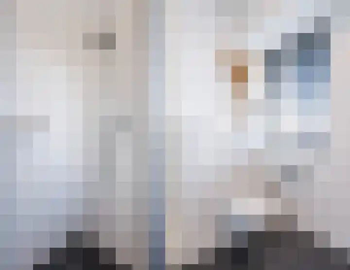 Juttepeer 11 Winkel thumbnail 33