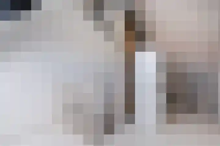 Juttepeer 11 Winkel thumbnail 34