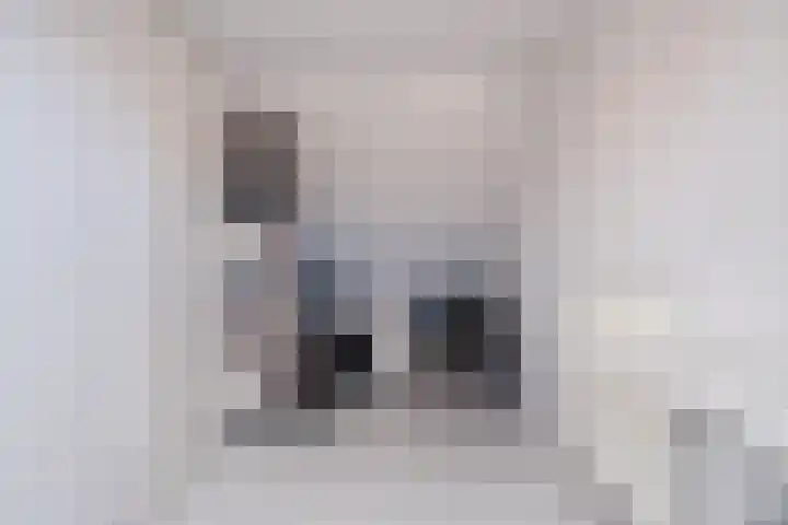 Juttepeer 11 Winkel thumbnail 38