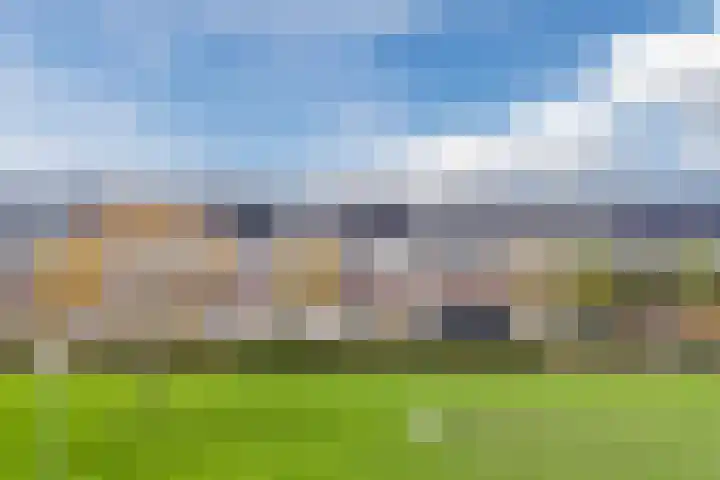Juttepeer 11 Winkel thumbnail 4