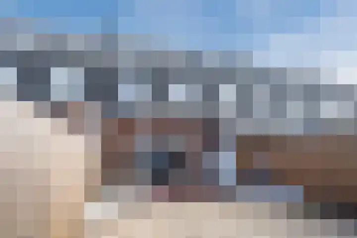 Juttepeer 11 Winkel thumbnail 42