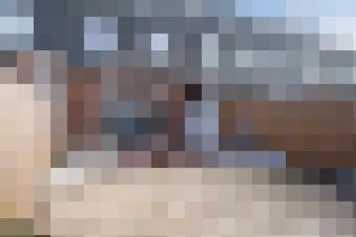Juttepeer 11 Winkel thumbnail 43
