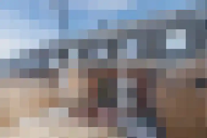 Juttepeer 11 Winkel thumbnail 44