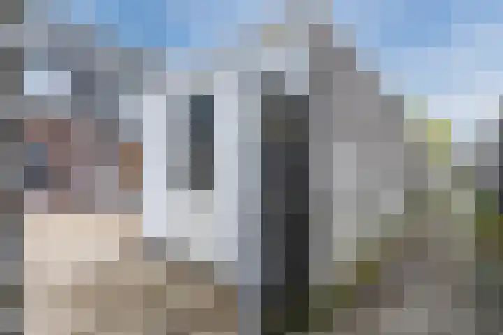 Juttepeer 11 Winkel thumbnail 46