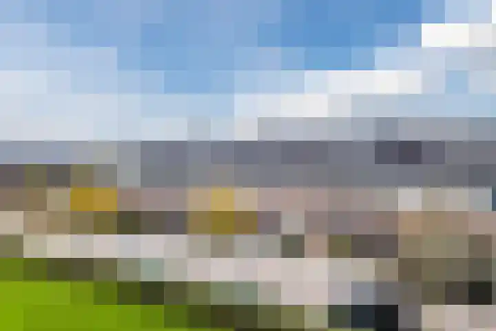 Juttepeer 11 Winkel thumbnail 5