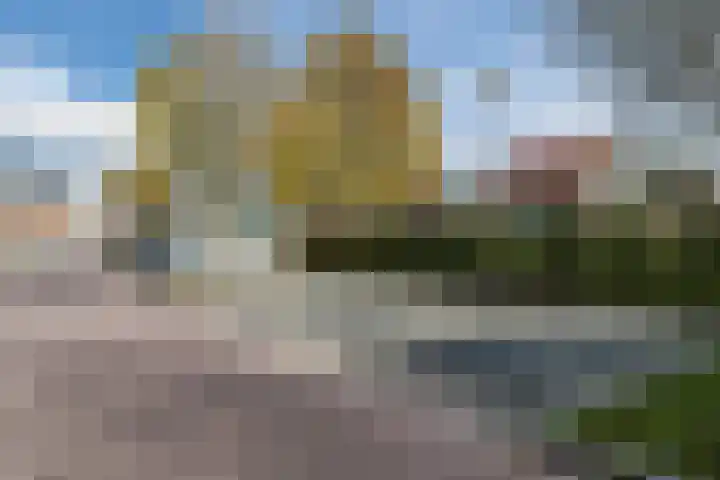 Juttepeer 11 Winkel thumbnail 50