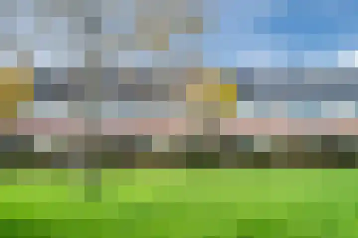 Juttepeer 11 Winkel thumbnail 51