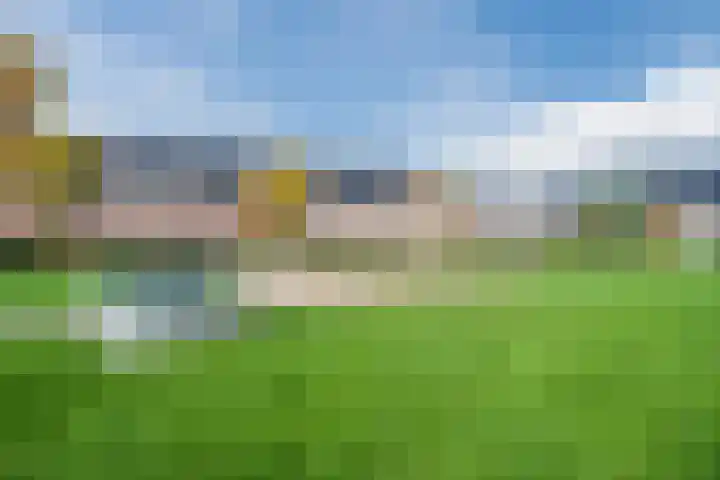 Juttepeer 11 Winkel thumbnail 52