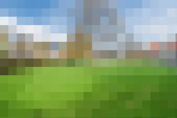 Juttepeer 11 Winkel thumbnail 53