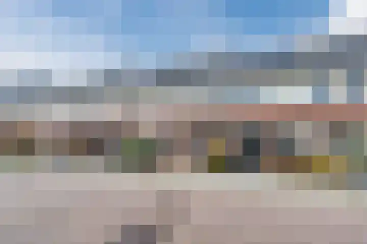 Juttepeer 11 Winkel thumbnail 6