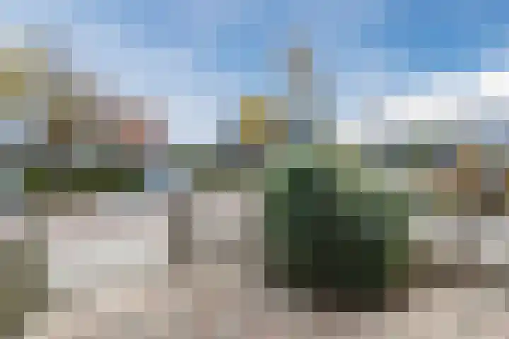 Juttepeer 11 Winkel thumbnail 7