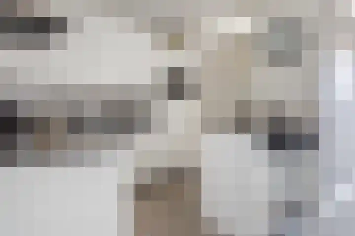 Juttepeer 12 Winkel thumbnail 10