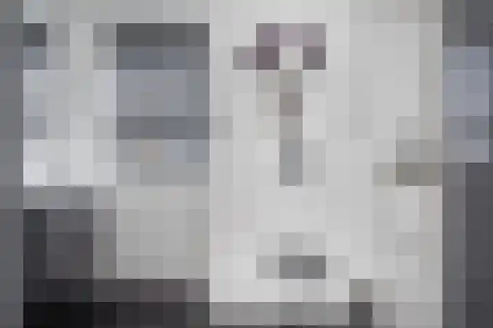 Juttepeer 12 Winkel thumbnail 16
