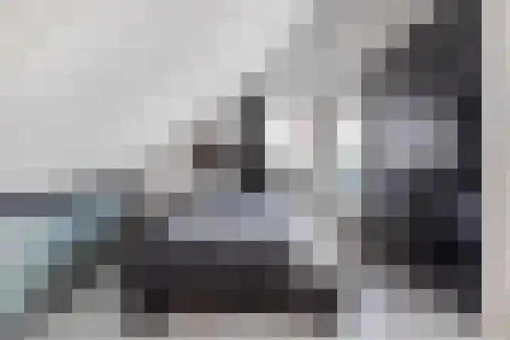 Juttepeer 12 Winkel thumbnail 18