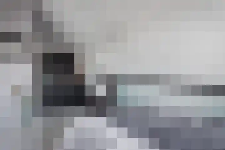 Juttepeer 12 Winkel thumbnail 19