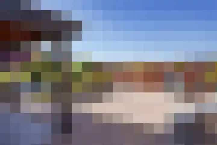 Juttepeer 12 Winkel thumbnail 21