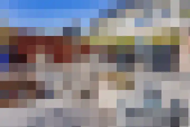 Juttepeer 12 Winkel thumbnail 25