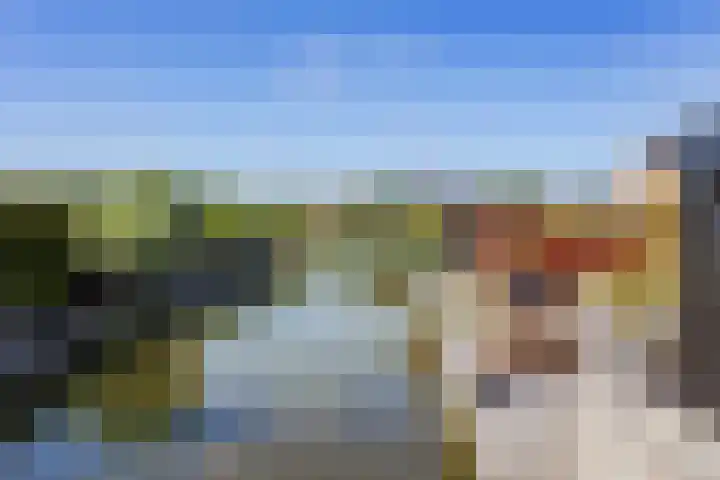 Juttepeer 12 Winkel thumbnail 27