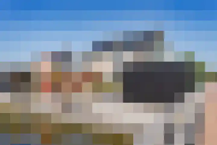 Juttepeer 12 Winkel thumbnail 28
