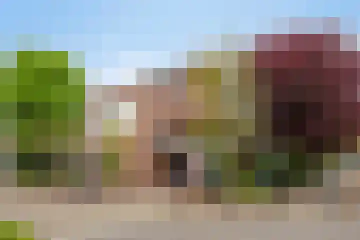 Juttepeer 13 Dodewaard thumbnail 10