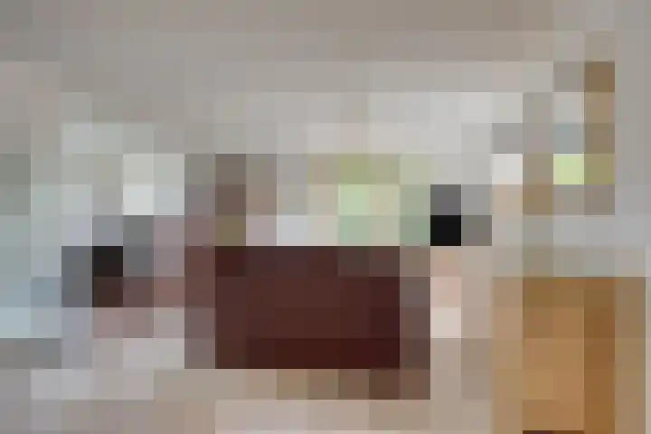 Juttepeer 13 Dodewaard thumbnail 16
