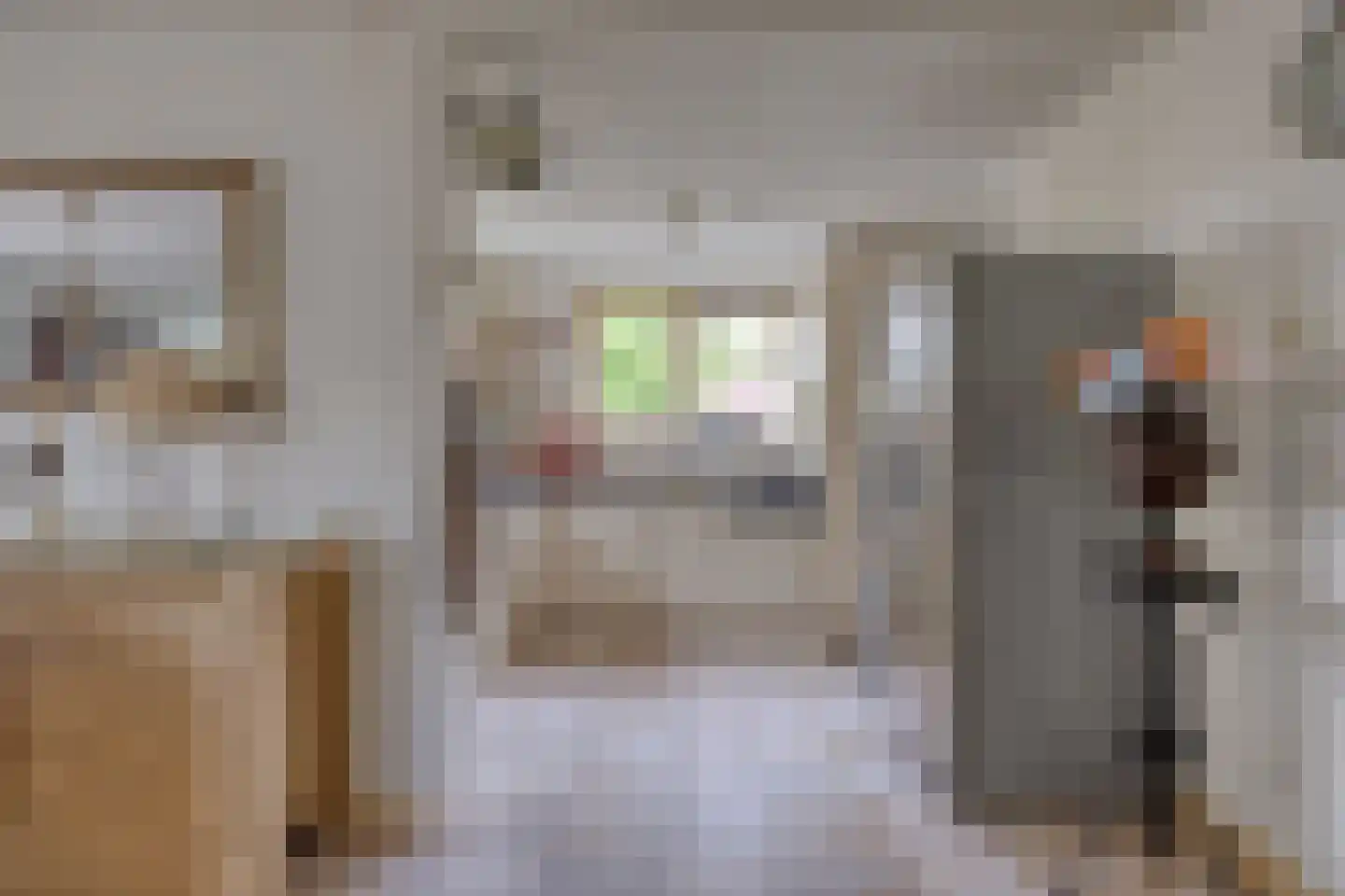Juttepeer 13 Dodewaard thumbnail 18