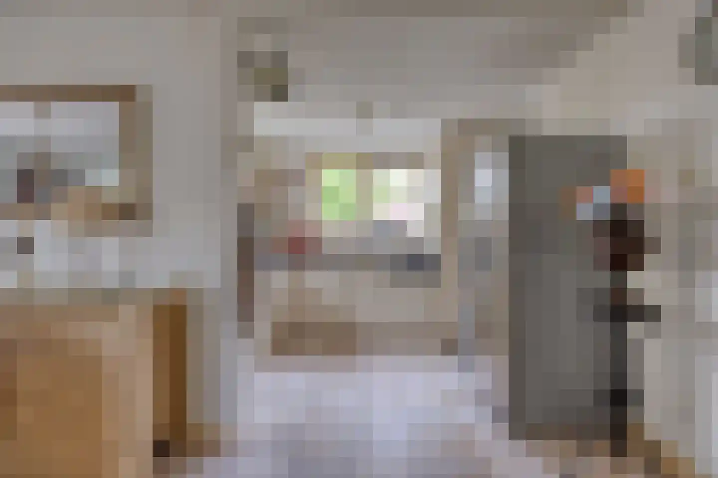 Juttepeer 13 Dodewaard thumbnail 18