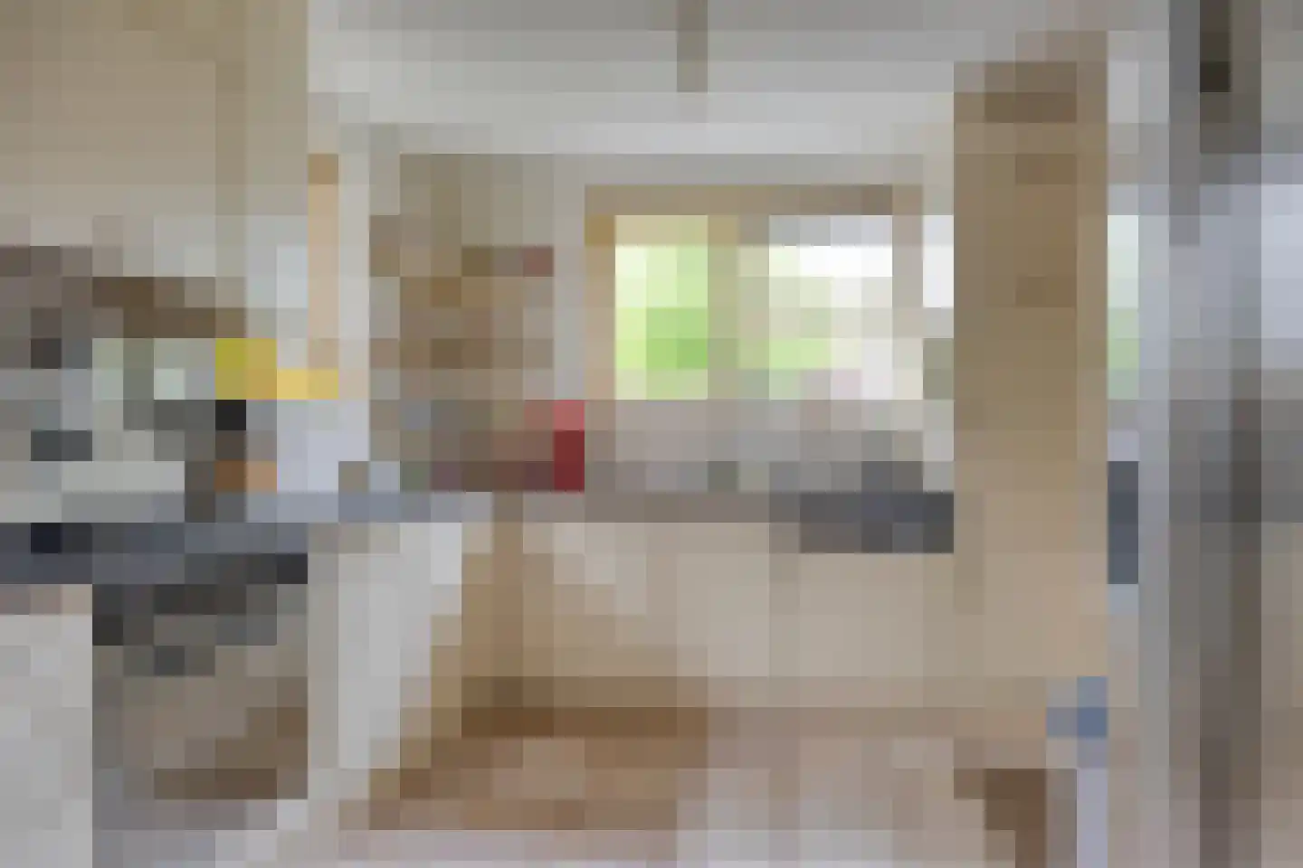 Juttepeer 13 Dodewaard thumbnail 19
