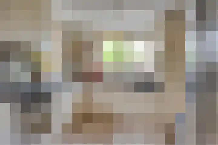 Juttepeer 13 Dodewaard thumbnail 19
