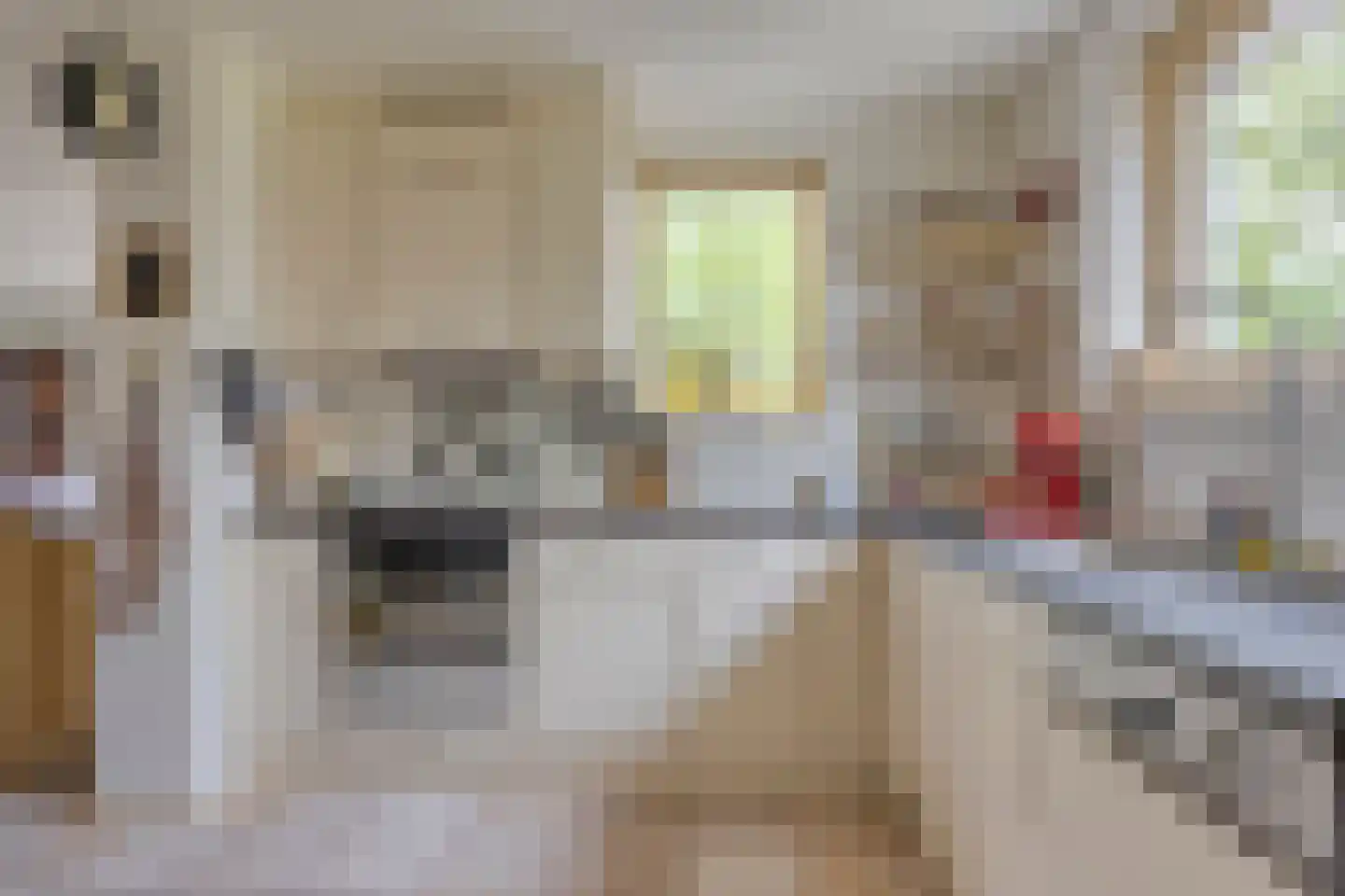 Juttepeer 13 Dodewaard thumbnail 20