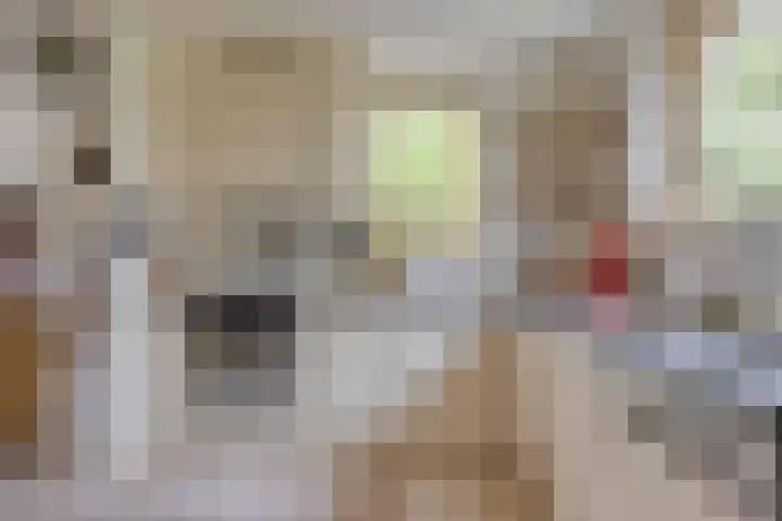 Juttepeer 13 Dodewaard thumbnail 20