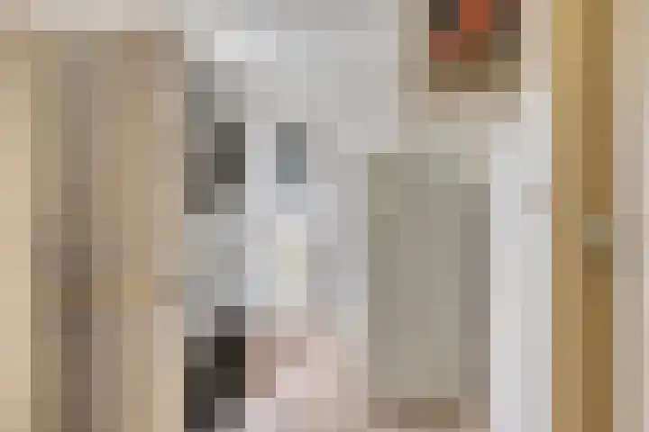 Juttepeer 13 Dodewaard thumbnail 21