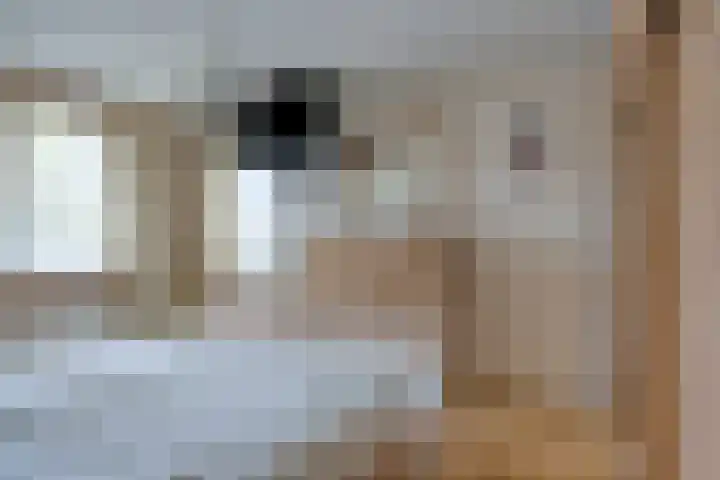 Juttepeer 13 Dodewaard thumbnail 25