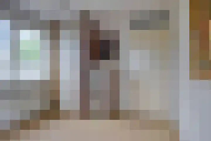 Juttepeer 13 Dodewaard thumbnail 29
