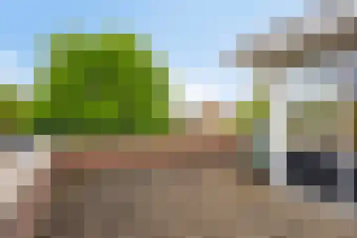 Juttepeer 13 Dodewaard thumbnail 35
