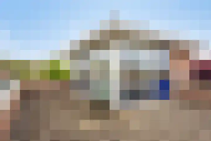 Juttepeer 13 Dodewaard thumbnail 36